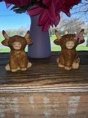 Highland Cows Salt & Pepper Shakers - NIP